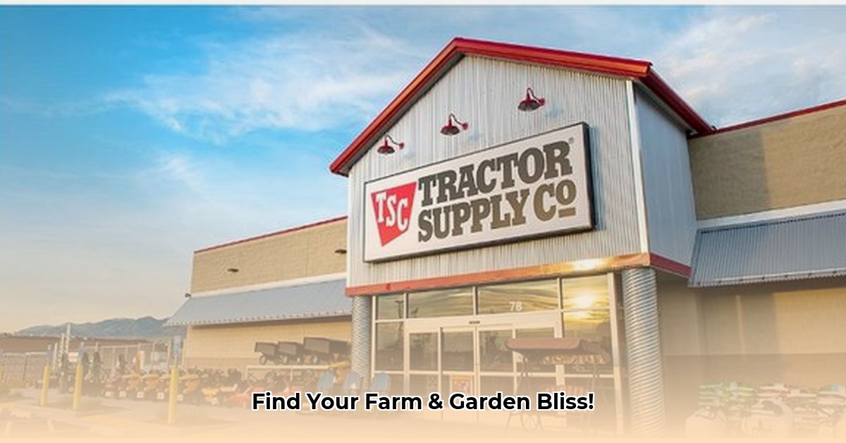 tractor-supply-brownwood